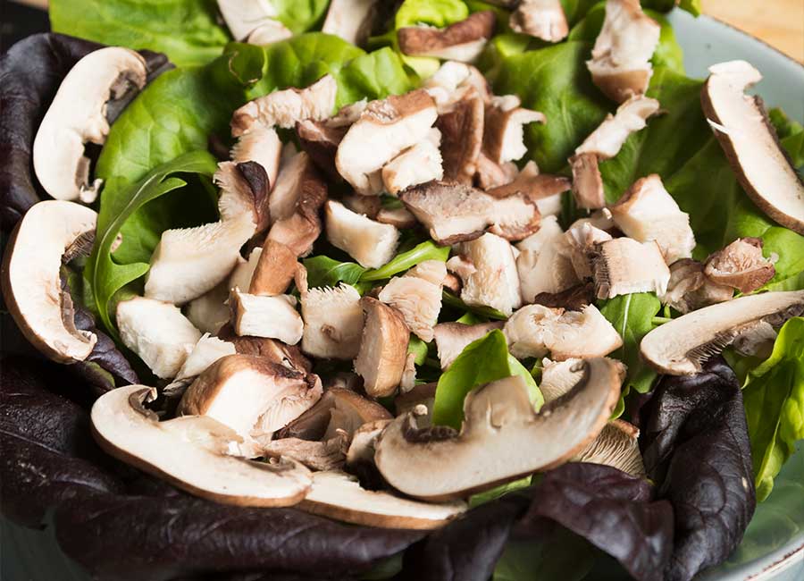 Frischer Pilzsalat mit Arganöl