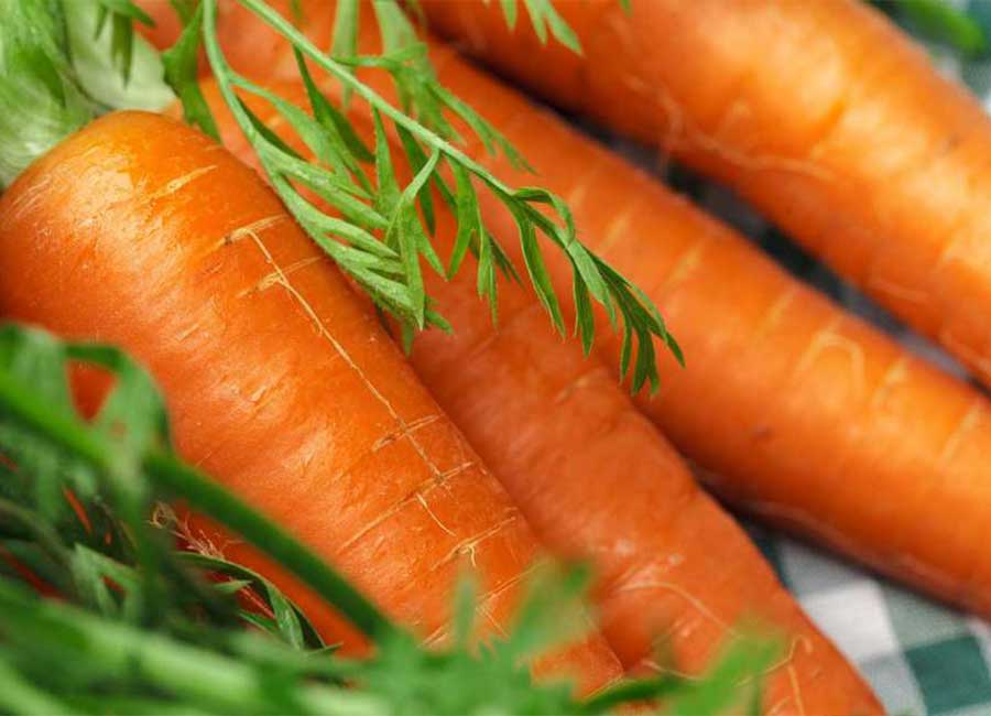 Möhrensalat und Orangenfilets